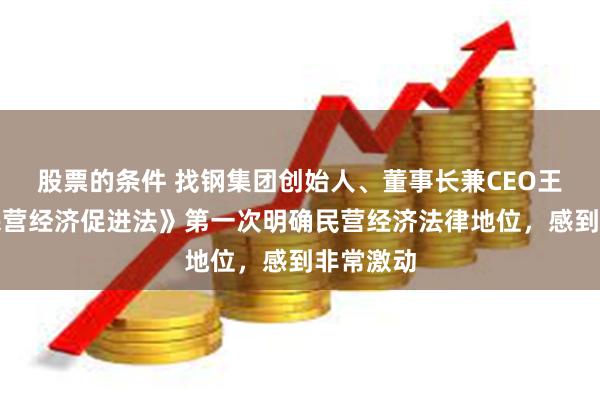 股票的条件 找钢集团创始人、董事长兼CEO王东：《民营经济促进法》第一次明确民营经济法律地位，感到非常激动