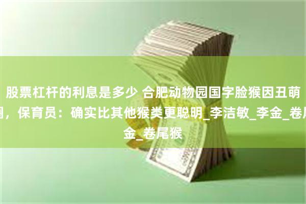 股票杠杆的利息是多少 合肥动物园国字脸猴因丑萌出圈，保育员：确实比其他猴类更聪明_李洁敏_李金_卷尾猴