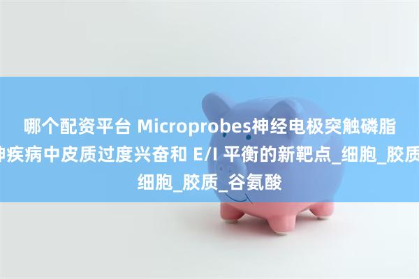 哪个配资平台 Microprobes神经电极突触磷脂作为精神疾病中皮质过度兴奋和 E/I 平衡的新靶点_细胞_胶质_谷氨酸