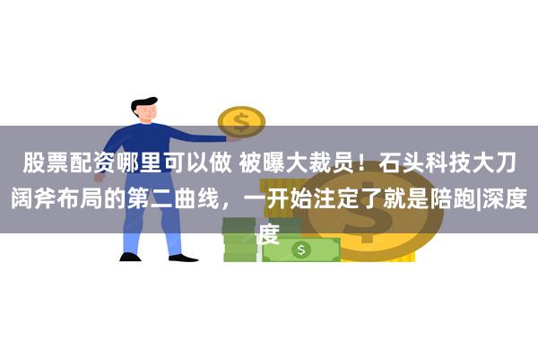 股票配资哪里可以做 被曝大裁员！石头科技大刀阔斧布局的第二曲线，一开始注定了就是陪跑|深度